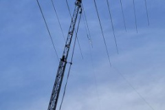 40b62e33-67b2-46ea-80d1-40c1b780f3a7