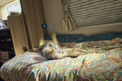 9b4ac409-7251-4a61-9ea1-20ff2f89472d