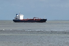 1a521e09-6c2c-4f04-8e17-772b7f2708ce