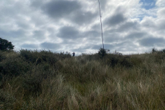 5a9507a2-0918-4e95-bc4b-697a0e76fb01