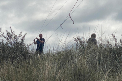 9431e51b-e90c-4982-8cfd-9b7acd4df58c