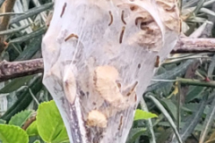 cc712371-2e68-4f06-b762-a098d7db7838