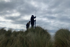 e6887338-71ff-40d5-81ae-c8c0bb9c1885