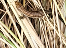 fcba199c-6717-4eb1-bb88-352380e54c97